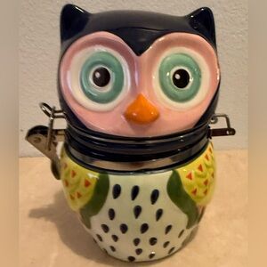 Boston Warehouse Hand Painted Hinged Storage canister “Artsy Owl” jar. 7”